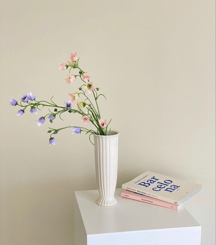 Tử vi 12 con giáp ngày 4/8/2022: Tuổi Mão công việc gian nan, tuổi Dần hanh thông mọi mặt