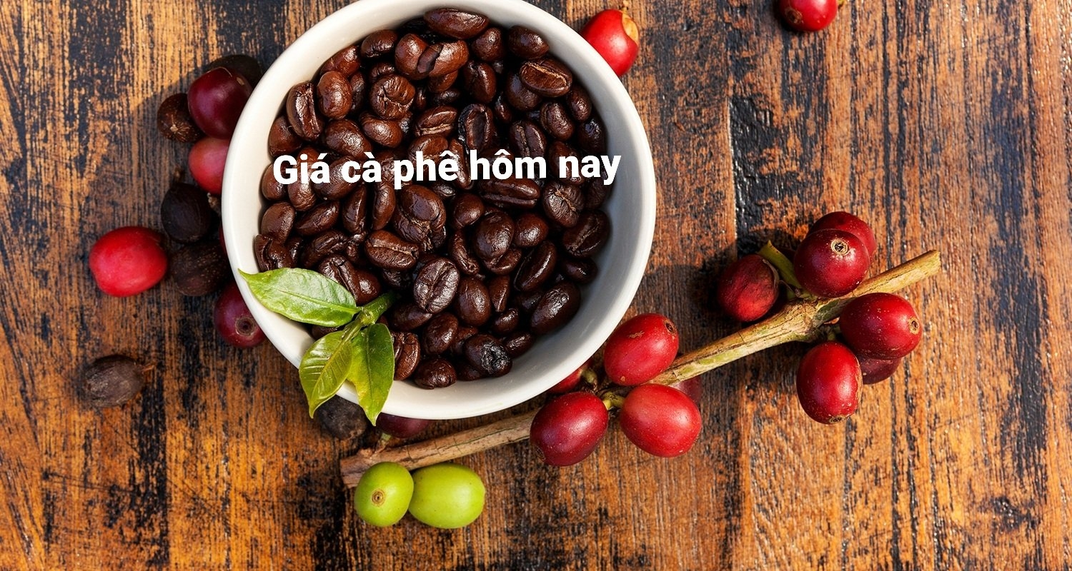 Giá cà phê hôm nay 6/8: Arabica, Robusta đồng loạt xuống giá Giá cà phê hôm nay 6/8: Arabica, Robusta đồng loạt xuống giá