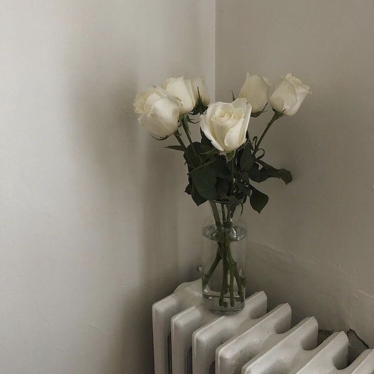 Tử vi 12 con giáp ngày 8/8/2022: Tuổi Ngọ gặp được quý nhân, tuổi Tý nhiều điều xấu