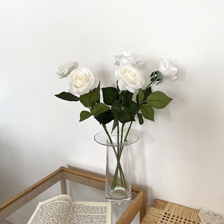 Tử vi 12 con giáp ngày 8/8/2022: Tuổi Ngọ gặp được quý nhân, tuổi Tý nhiều điều xấu