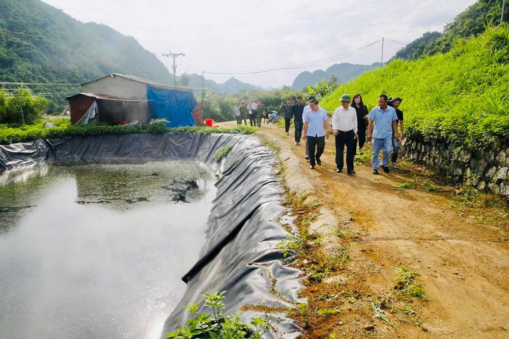 Tăng cường bảo vệ môi trường đối với hoạt động chế biến nông sản, chăn nuôi Tăng cường bảo vệ môi trường đối với hoạt động chế biến nông sản, chăn nuôi