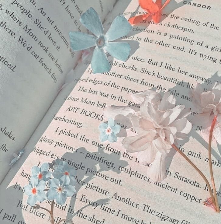 Tử vi 12 con giáp ngày 15/8/2022: Tuổi Ngọ tốt về cầu tài, tuổi Hợi chú ý sức khỏe