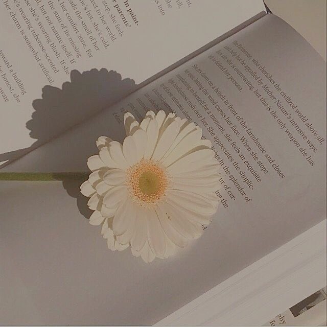 Tử vi 12 con giáp ngày 15/8/2022: Tuổi Ngọ tốt về cầu tài, tuổi Hợi chú ý sức khỏe