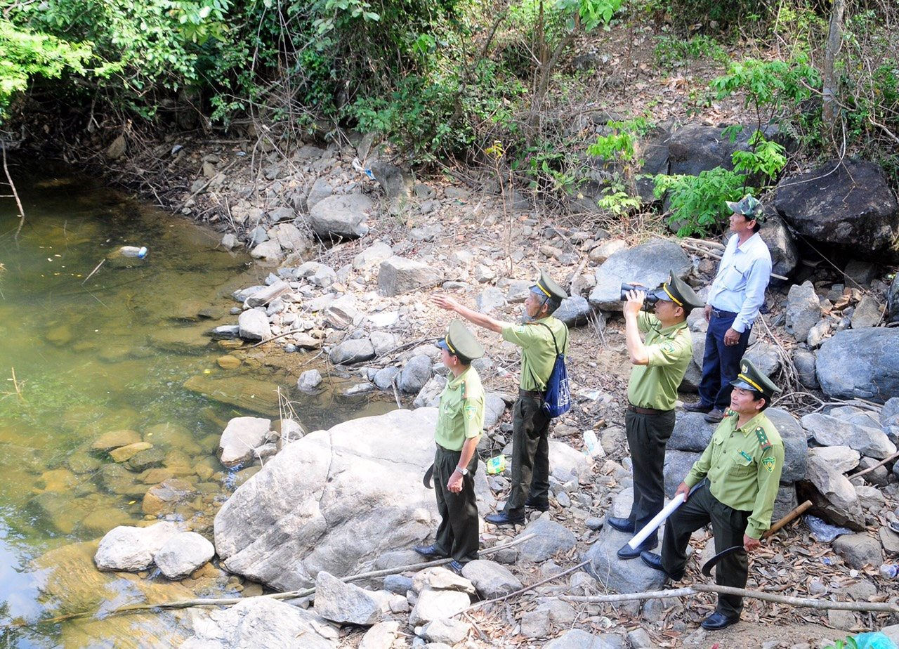 Bảo vệ và phát triển rừng thích ứng với biến đổi khí hậu