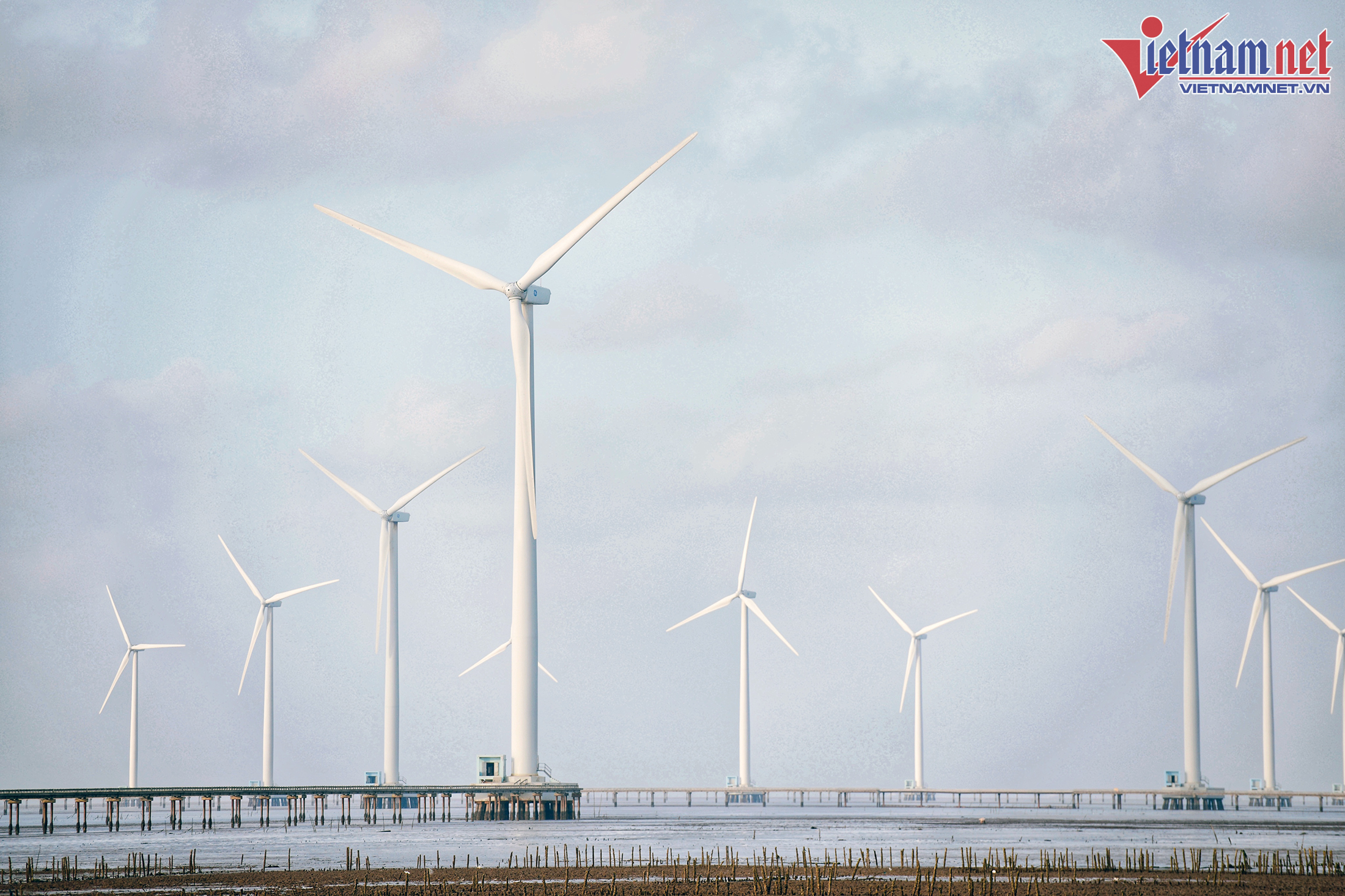 'Nóng rực' điện gió: Lo mất phần, 'đại bàng Mỹ' xung đột nhà đầu tư khác