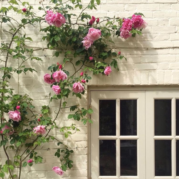 Tử vi tuần mới 22/8 - 28/8 của 12 con giáp: Tuổi Tý phát tài, tuổi Thìn không mấy thuận lợi Tử vi tuần mới 22/8 - 28/8 của 12 con giáp: Tuổi Tý phát tài, tuổi Thìn không mấy thuận lợi