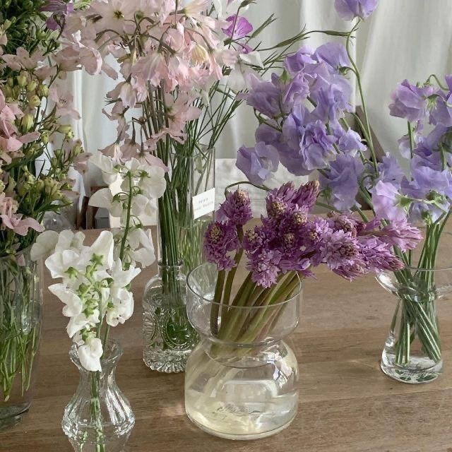 Tử vi tuần mới 22/8 - 28/8 của 12 con giáp: Tuổi Tý phát tài, tuổi Thìn không mấy thuận lợi Tử vi tuần mới 22/8 - 28/8 của 12 con giáp: Tuổi Tý phát tài, tuổi Thìn không mấy thuận lợi