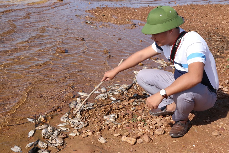 Lấy mẫu nước xét nghiệm xác định nguyên nhân cá chết tại hồ Bộc Nguyên