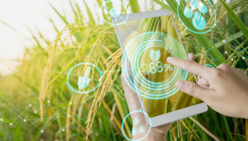 Đẩy mạnh chuyển đổi số ngành nông nghiệp