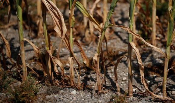 Thúc đẩy liên kết, tăng sức chống chịu với thời tiết cực đoan Thúc đẩy liên kết, tăng sức chống chịu với thời tiết cực đoan
