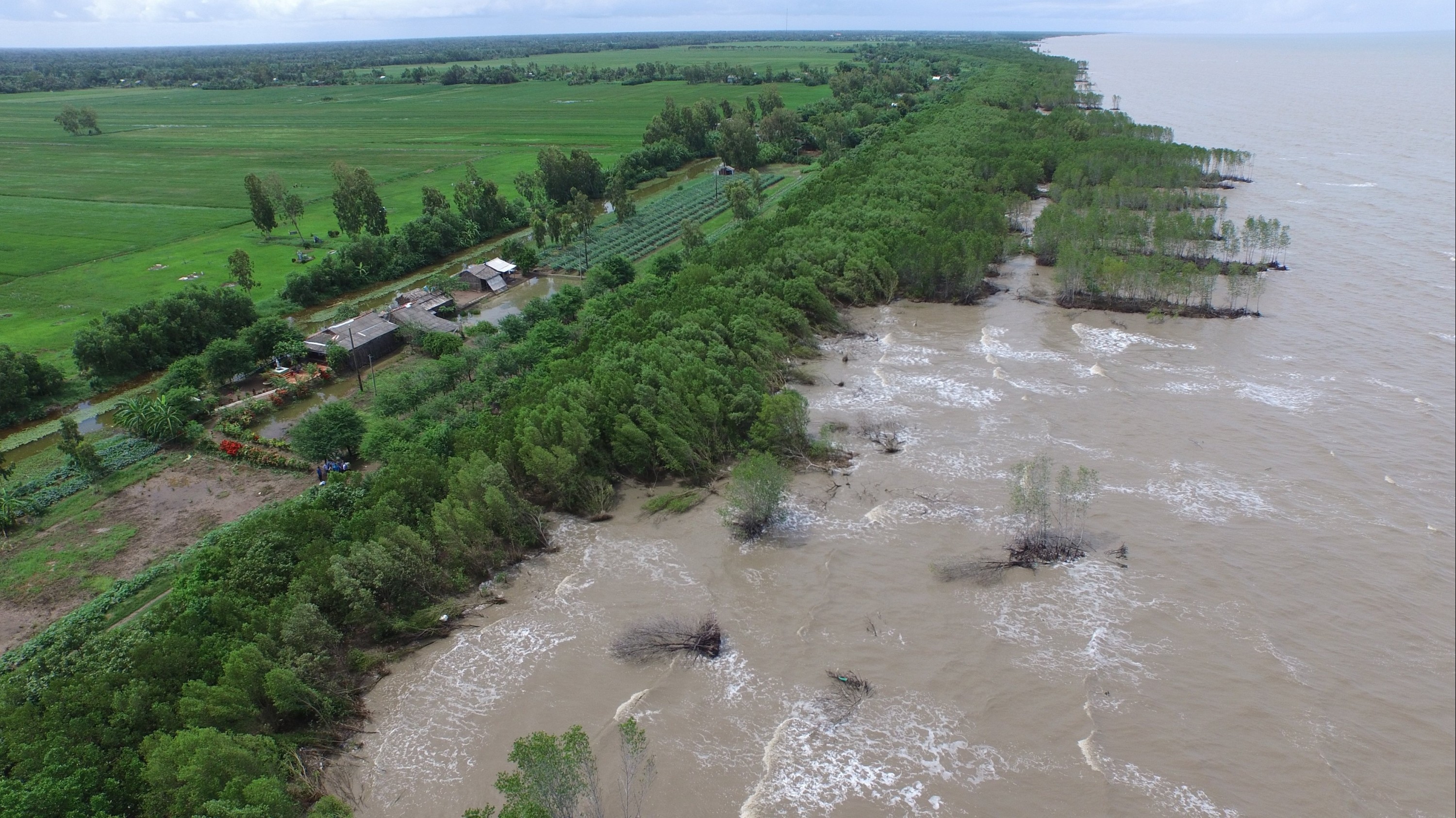 Thúc đẩy hợp tác quốc tế thực hiện các cam kết chống biến đổi khí hậu