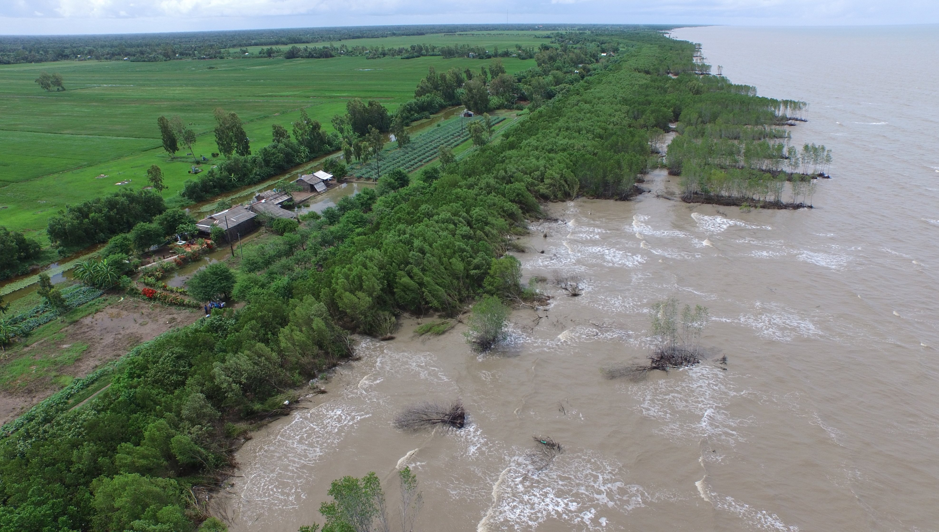 Thúc đẩy hợp tác quốc tế thực hiện các cam kết chống biến đổi khí hậu