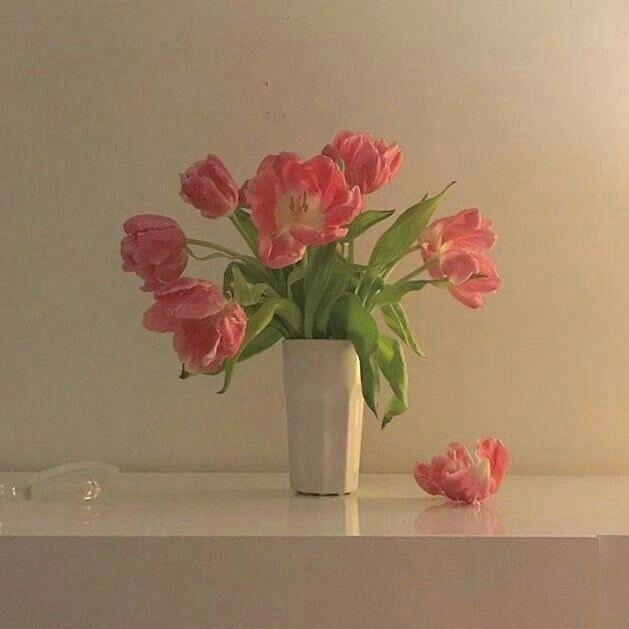 Tử vi 12 con giáp ngày 1/9/2022: Tuổi Mão gia đình hòa hợp, tuổi Tý công việc tiến chậm