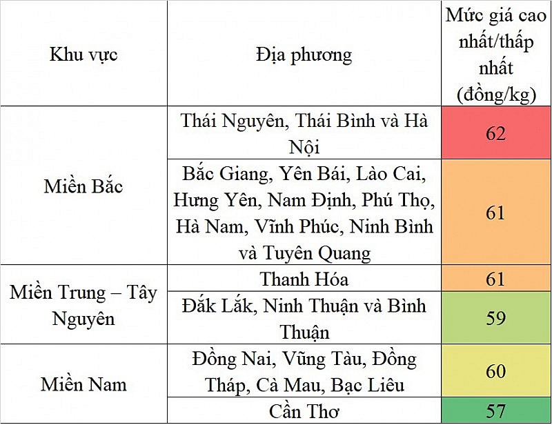 Giá heo hơi hôm nay ngày 1/8/2023: Ghi nhận mức thấp nhất 57.000 đồng/kg