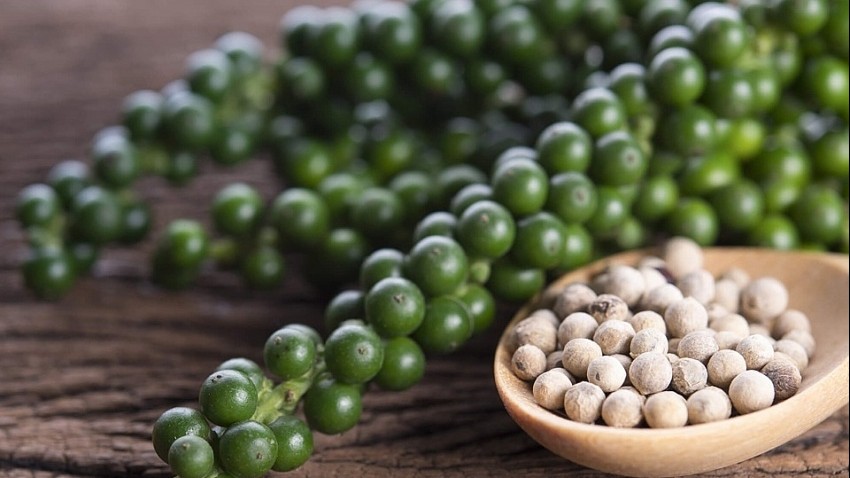 Giá tiêu hôm nay 6/8: Tiếp tục tăng