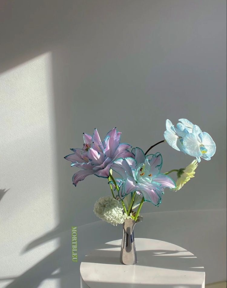 Tử vi 12 con giáp ngày 15/8/2023: Tuổi Hợi hung vận cản trở, tuổi Sửu một ngày may mắn