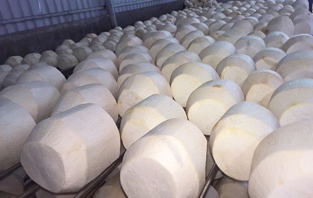 Nông sản Việt xuất ngoại: Quan hệ thương mại bền vững dựa trên chữ tín | Kinh doanh | Vietnam+ (VietnamPlus) Nông sản Việt xuất ngoại: Quan hệ thương mại bền vững dựa trên chữ tín | Kinh doanh | Vietnam+ (VietnamPlus)