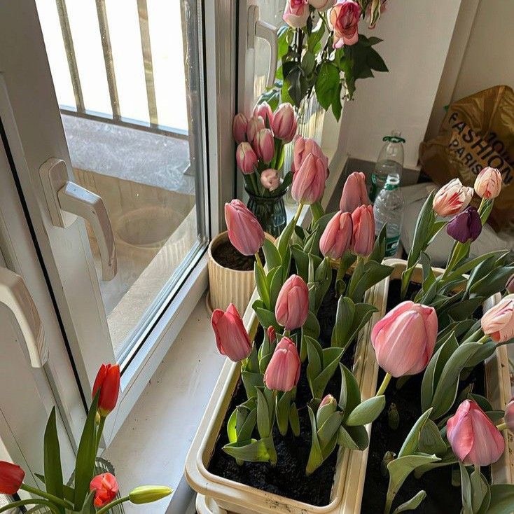 Tử vi 12 con giáp ngày 25/8/2023: Tuổi Dần gặp may mắn, tuổi Tý khó khăn