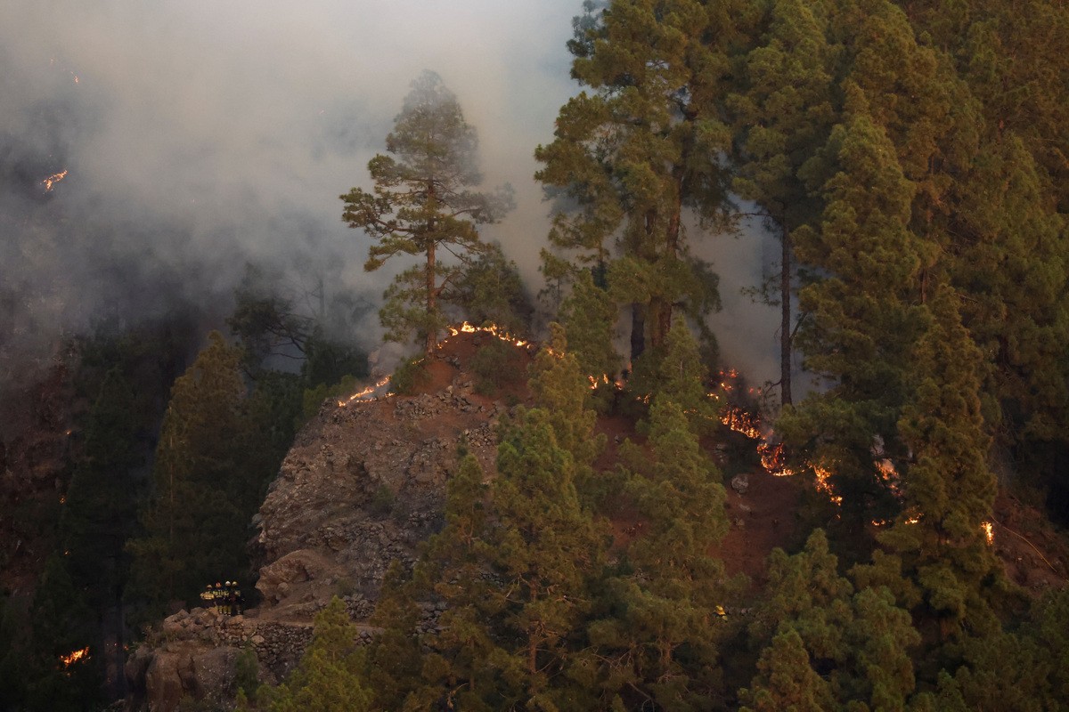 WMO: Thời tiết cực đoan đang trở thành điều "bình thường mới" ảnh 2