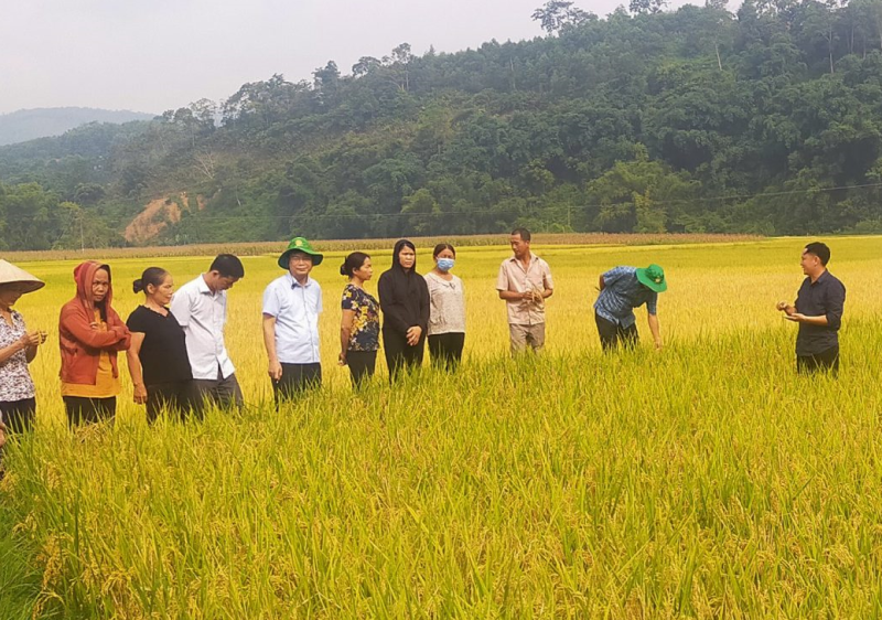 Cần thay đổi tư duy và hành động đột phá trong ‘chuyển đổi xanh’