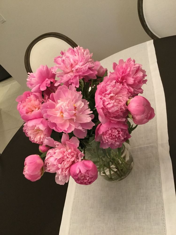 Tử vi 12 con giáp ngày 29/8/2023: Tuổi Dần gặt hái thành quả, tuổi Mão quý nhân phù trợ Tử vi 12 con giáp ngày 29/8/2023: Tuổi Dần gặt hái thành quả, tuổi Mão quý nhân phù trợ