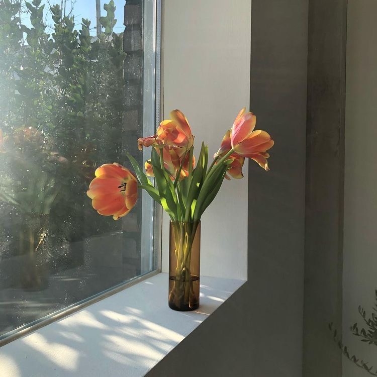 Tử vi 12 con giáp ngày 29/8/2023: Tuổi Dần gặt hái thành quả, tuổi Mão quý nhân phù trợ Tử vi 12 con giáp ngày 29/8/2023: Tuổi Dần gặt hái thành quả, tuổi Mão quý nhân phù trợ