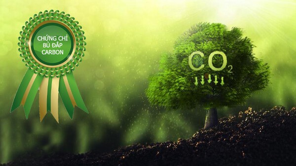 Chứng chỉ bù đắp carbon - chìa khóa vàng giúp phát triển bền vững