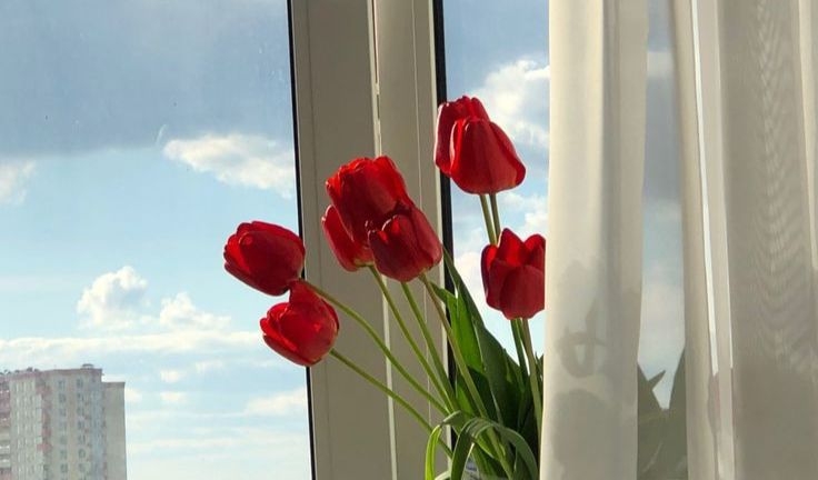 Tử vi vòng quay công nghệ ngày 2/8/2025: Tuổi Dậu gặp rắc rối, tuổi Tý may mắn liên tiếp Tử vi vòng quay công nghệ ngày 2/8/2025: Tuổi Dậu gặp rắc rối, tuổi Tý may mắn liên tiếp