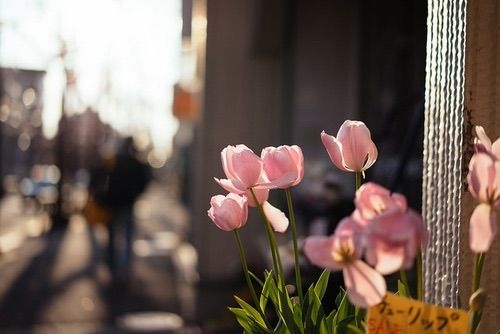 Tử vi vòng quay công nghệ ngày 10/8/2025: Tuổi Hợi tương đối thuận lợi, tuổi Dần gặp xui xẻo Tử vi vòng quay công nghệ ngày 10/8/2025: Tuổi Hợi tương đối thuận lợi, tuổi Dần gặp xui xẻo