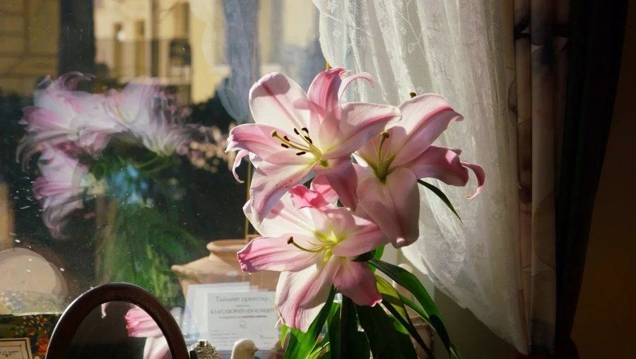 Tử vi vòng quay công nghệ ngày 10/8/2025: Tuổi Hợi tương đối thuận lợi, tuổi Dần gặp xui xẻo Tử vi vòng quay công nghệ ngày 10/8/2025: Tuổi Hợi tương đối thuận lợi, tuổi Dần gặp xui xẻo