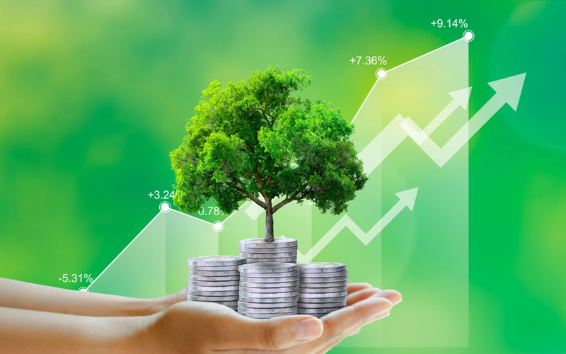 Điểm tin ngân hàng ngày 11/8: Ngân hàng tăng cường cho vay tín dụng xanh Điểm tin ngân hàng ngày 11/8: Ngân hàng tăng cường cho vay tín dụng xanh