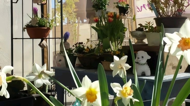 Tử vi vòng quay công nghệ ngày 15/8/2025: Tuổi Mão không mấy thuận lợi, tuổi Sửu gặp vận may Tử vi vòng quay công nghệ ngày 15/8/2025: Tuổi Mão không mấy thuận lợi, tuổi Sửu gặp vận may