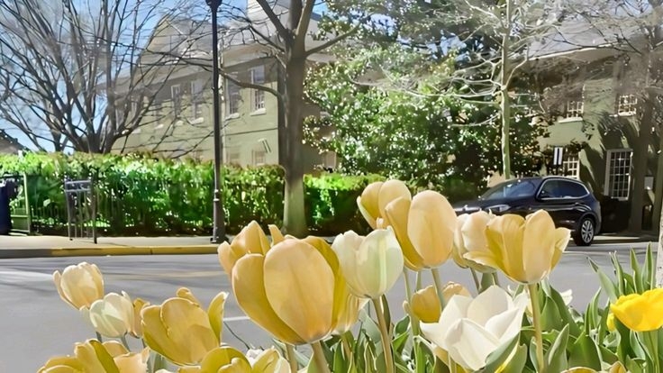 Tử vi vòng quay công nghệ ngày 15/8/2025: Tuổi Mão không mấy thuận lợi, tuổi Sửu gặp vận may Tử vi vòng quay công nghệ ngày 15/8/2025: Tuổi Mão không mấy thuận lợi, tuổi Sửu gặp vận may