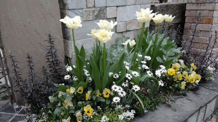 Tử vi vòng quay công nghệ ngày 17/8/2025: Tuổi Dần hiệu quả tăng cao, tuổi Tý dễ bốc đồng Tử vi vòng quay công nghệ ngày 17/8/2025: Tuổi Dần hiệu quả tăng cao, tuổi Tý dễ bốc đồng