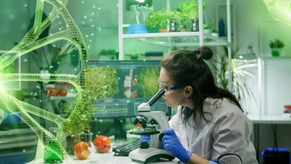 Kiến tạo nền nông nghiệp xanh bằng công nghệ sinh học