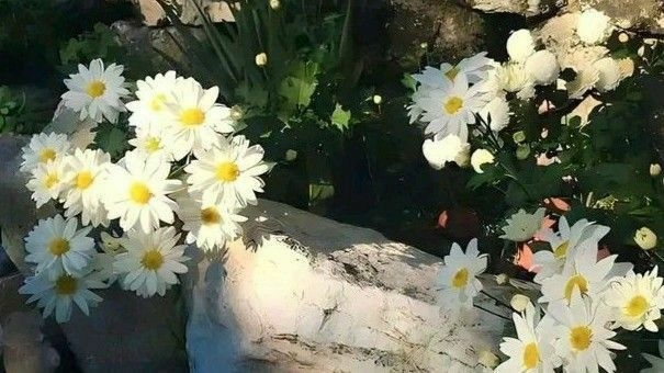 Tử vi vòng quay công nghệ ngày 17/8/2025: Tuổi Dần hiệu quả tăng cao, tuổi Tý dễ bốc đồng Tử vi vòng quay công nghệ ngày 17/8/2025: Tuổi Dần hiệu quả tăng cao, tuổi Tý dễ bốc đồng