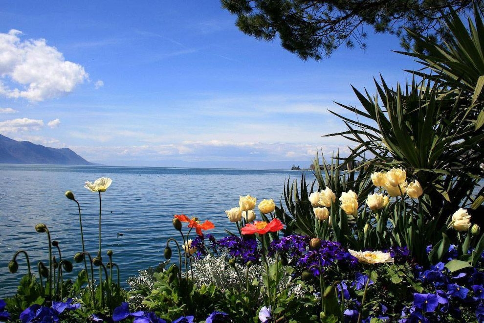 Tử vi vòng quay công nghệ ngày 18/8/2025: Tuổi Mão dính vào mâu thuẫn, tuổi Thìn hay gặp may Tử vi vòng quay công nghệ ngày 18/8/2025: Tuổi Mão dính vào mâu thuẫn, tuổi Thìn hay gặp may