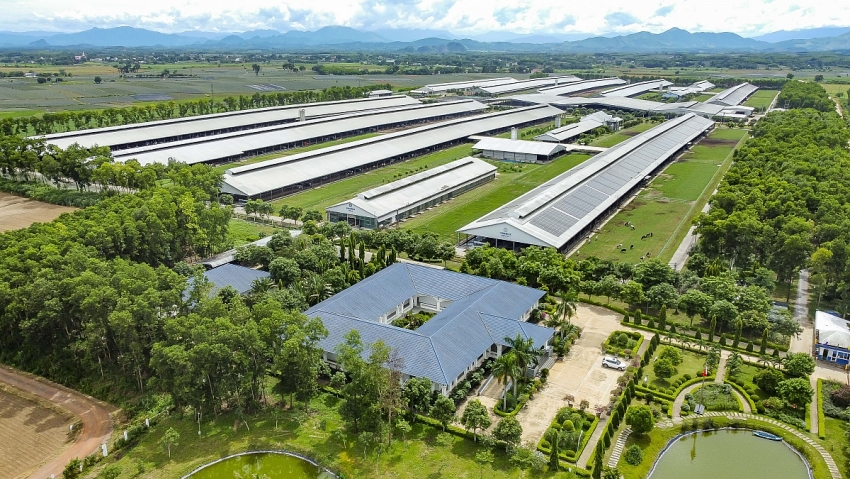 Lần đầu tiên, Vinamilk được xếp hạng sức mạnh thương hiệu xuất sắc, vượt trội toàn cầu Lần đầu tiên, Vinamilk được xếp hạng sức mạnh thương hiệu xuất sắc, vượt trội toàn cầu