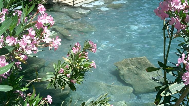 Tử vi vòng quay công nghệ ngày 31/8/2025: Tuổi Thân gặp một vài khó khăn, tuổi Tý tiến triển hiệu quả