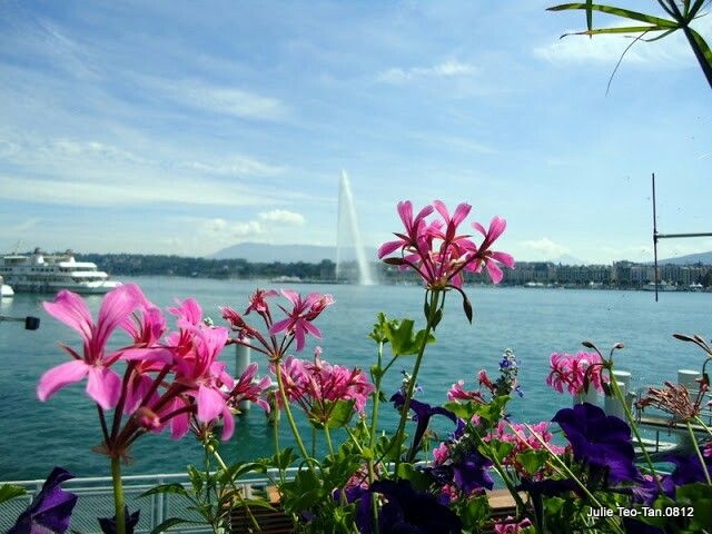 Tử vi vòng quay công nghệ ngày 31/8/2025: Tuổi Thân gặp một vài khó khăn, tuổi Tý tiến triển hiệu quả