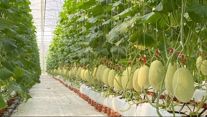 Công nghệ giúp thúc đẩy quảng bá, mở rộng thị trường tiêu thụ nông sản