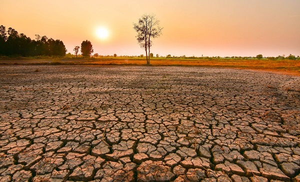 WMO cảnh báo hiện tượng El Nino mạnh lên từ tháng 8 WMO cảnh báo hiện tượng El Nino mạnh lên từ tháng 8