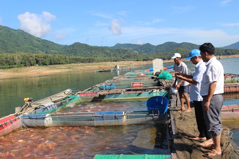 Gia Lai mở rộng vùng nuôi trồng thủy sản tại các hồ chứa Gia Lai mở rộng vùng nuôi trồng thủy sản tại các hồ chứa
