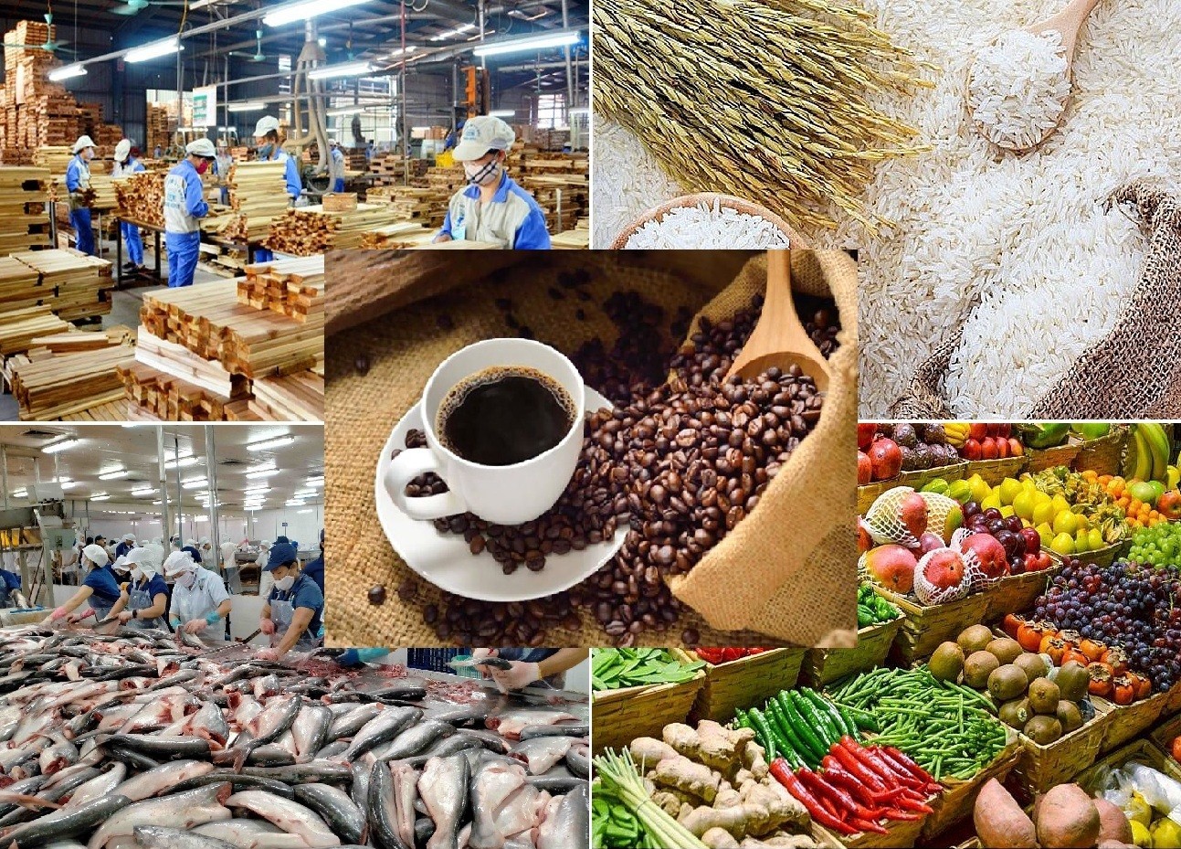 Giá nông sản hôm nay 9/8: Tiêu giữ đỉnh, cà phê tiếp tục giảm, lúa gạo đi ngang
