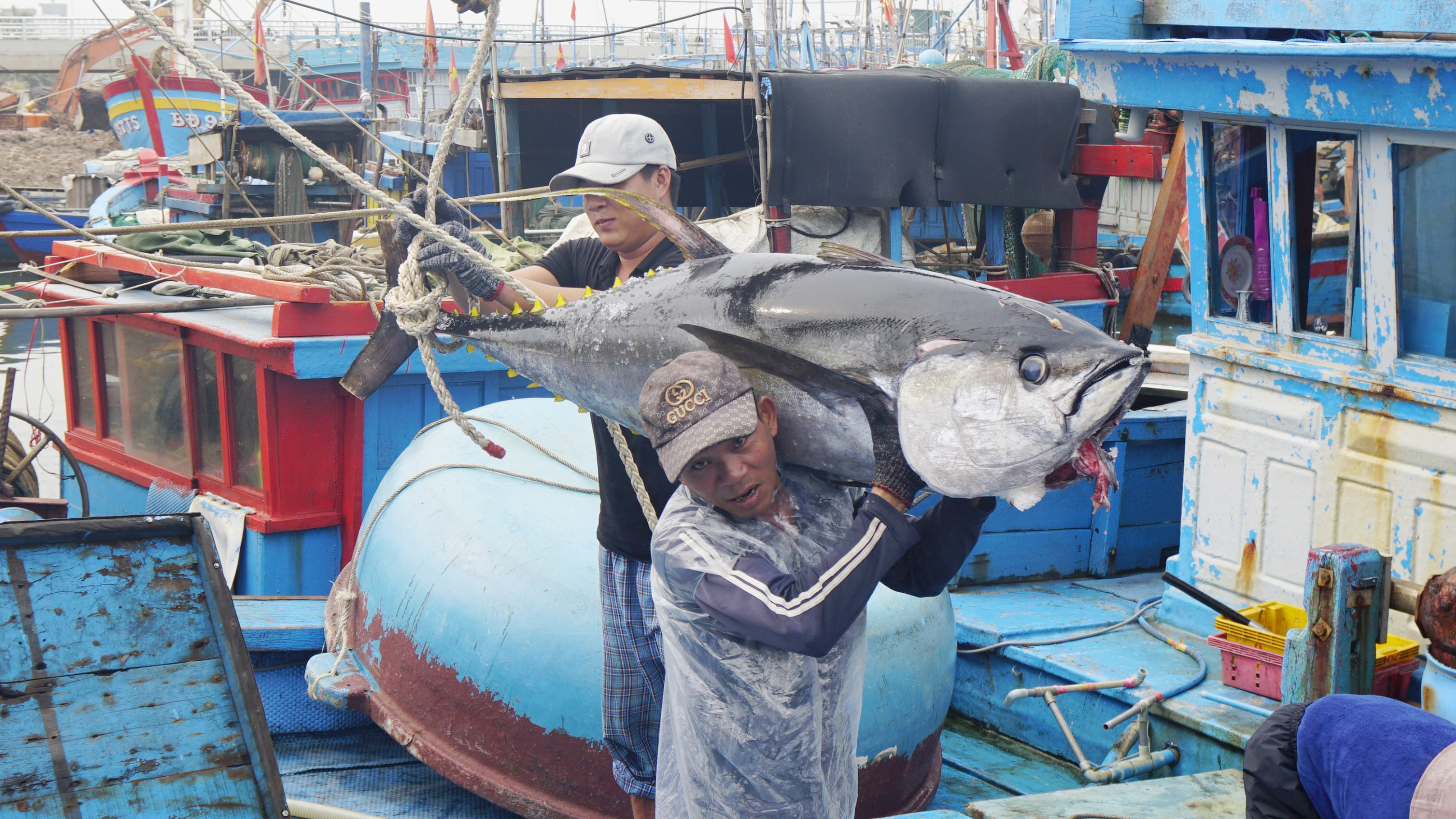 Quyết tâm gỡ "Thẻ vàng" IUU trong năm 2026 Quyết tâm gỡ "Thẻ vàng" IUU trong năm 2026