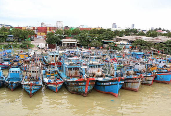 Khắc phục triệt để những tồn tại, hạn chế trong phòng chống IUU