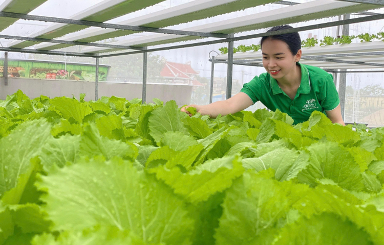 Phát huy vai trò hợp tác xã trong chuyển đổi mô hình kinh tế tuần hoàn Phát huy vai trò hợp tác xã trong chuyển đổi mô hình kinh tế tuần hoàn