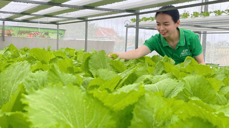 Phát huy vai trò hợp tác xã trong chuyển đổi mô hình kinh tế tuần hoàn