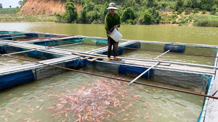 Lào Cai: Nâng cao sản lượng nuôi trồng thuỷ sản