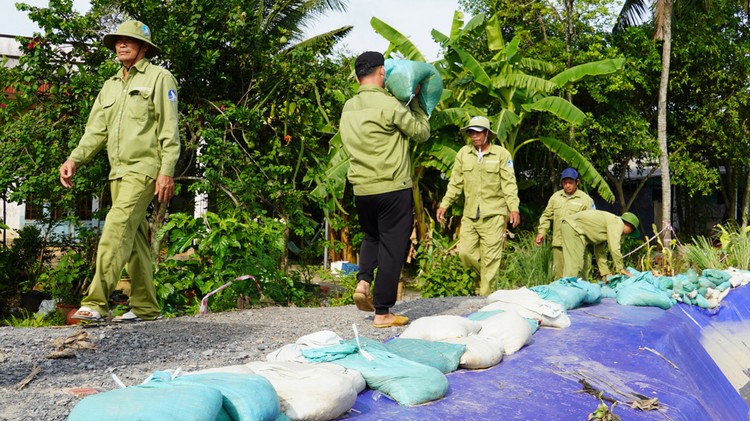 TP. HCM: Nâng cao năng lực, chủ động ứng phó thiên tai